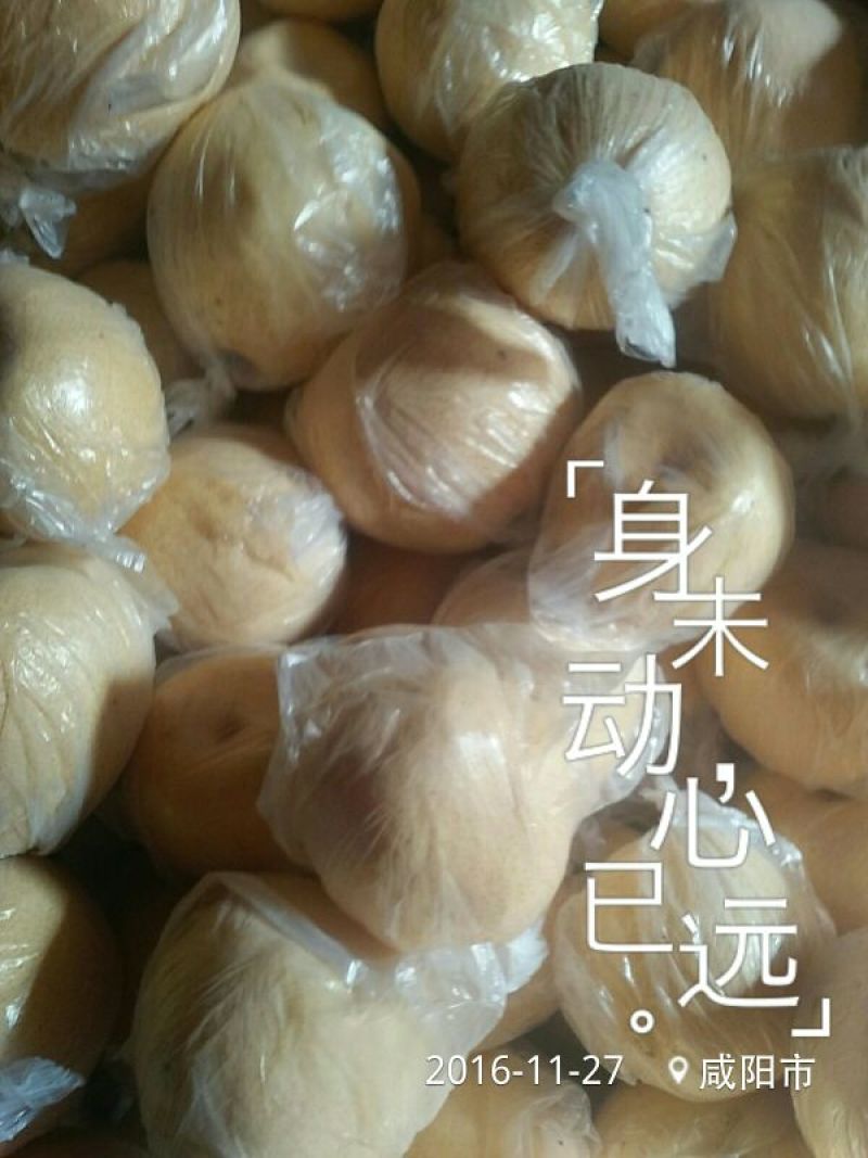 礼泉酥梨150~200g纸箱