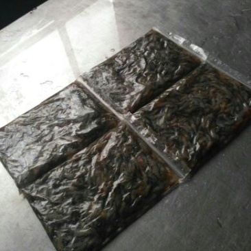 河虾冻虾26~30只/kg