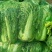 大白菜7斤以上