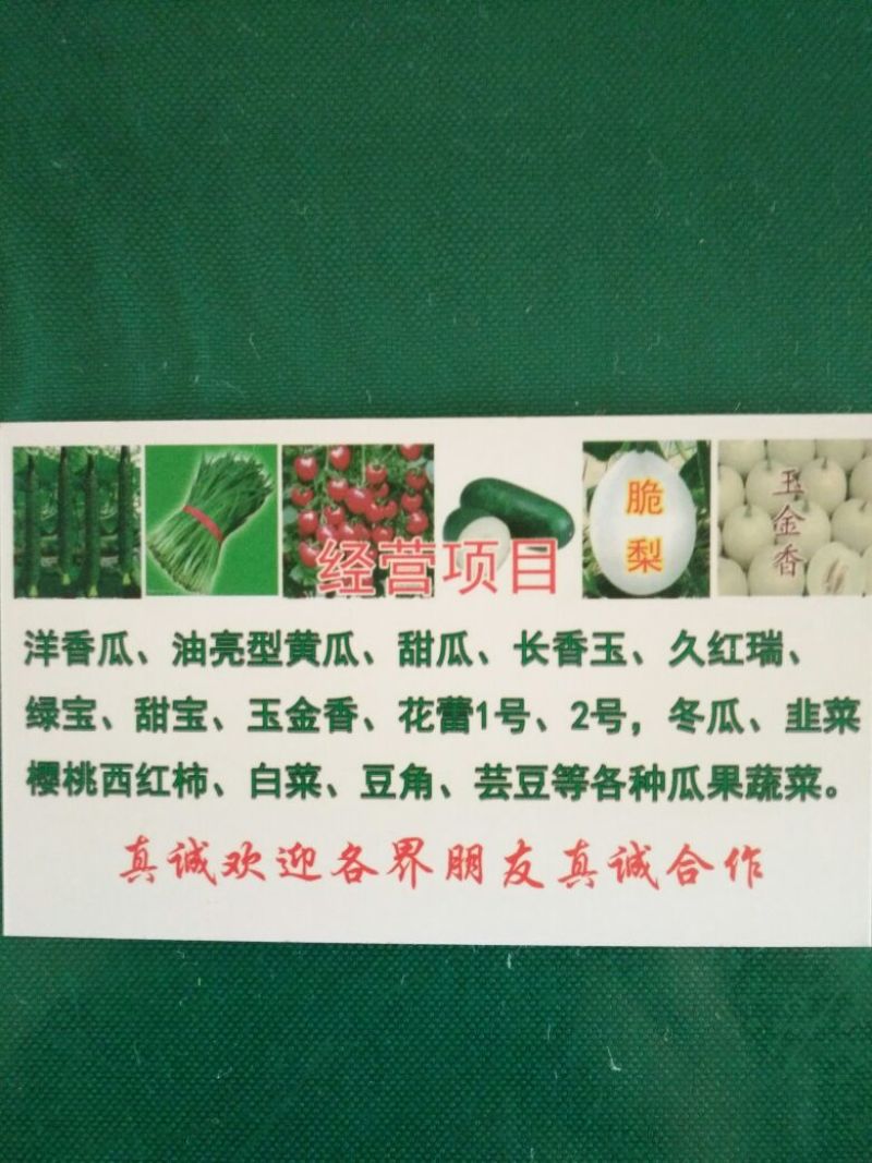 精品黄瓜，油量性，大棚吊秧瓜小中长条，量大从优