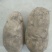 大白花土豆3两以上