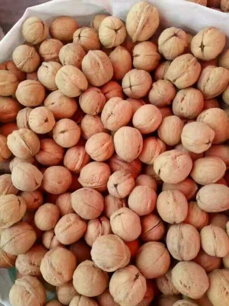 新疆核桃去皮干