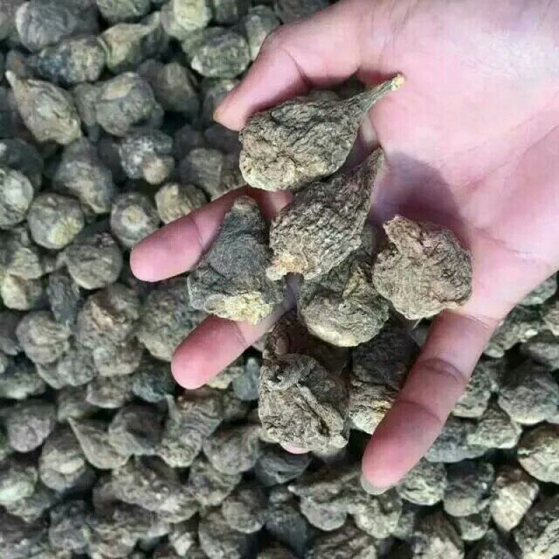 黑玛卡黑色