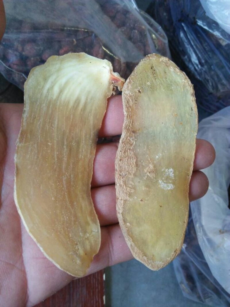 天麻一级