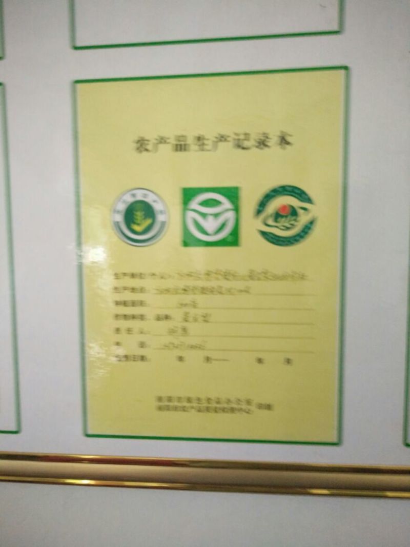 黄金梨200~250g纸袋
