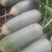 水果萝卜1~1.5斤起
