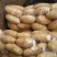 荷兰十五土豆3两以上通货