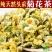 白菊花茶