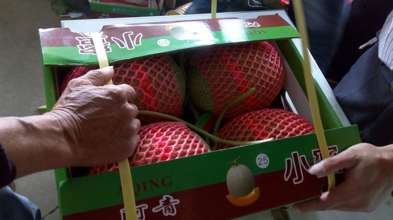 西州蜜瓜5斤以上长圆形