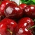 美早樱桃20mm以上