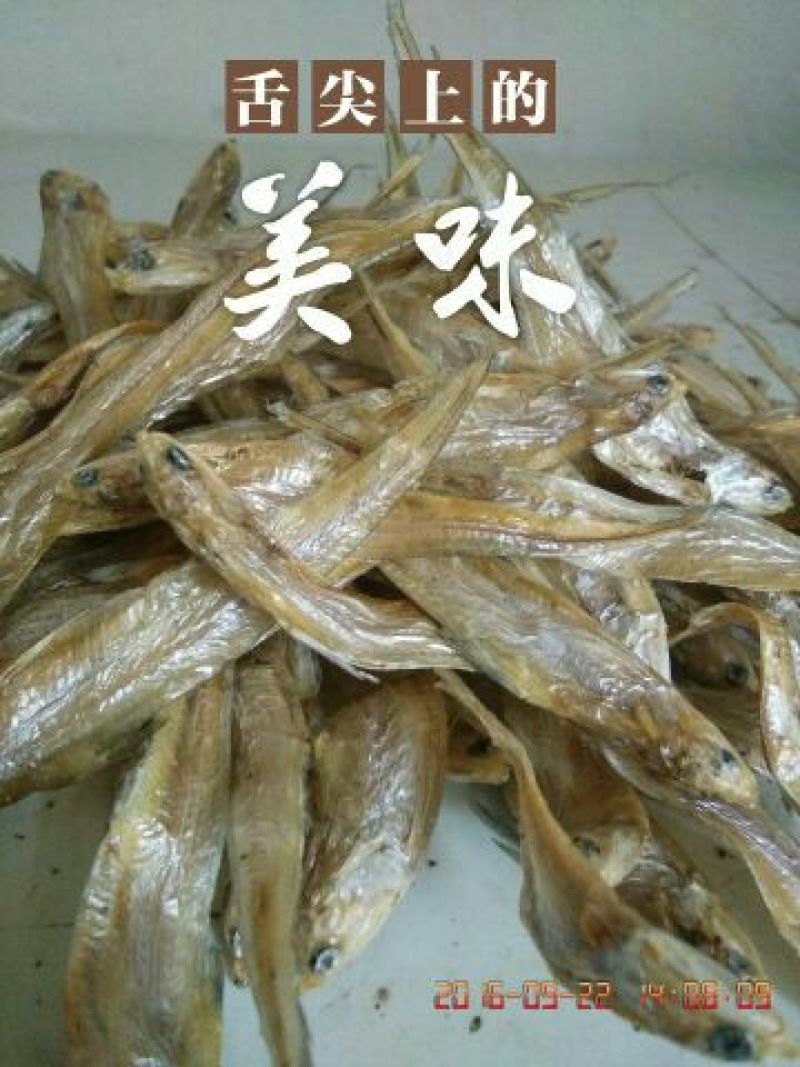 毛花鱼干
