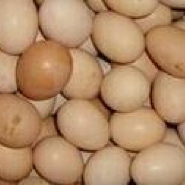 鸡蛋食用50~60g