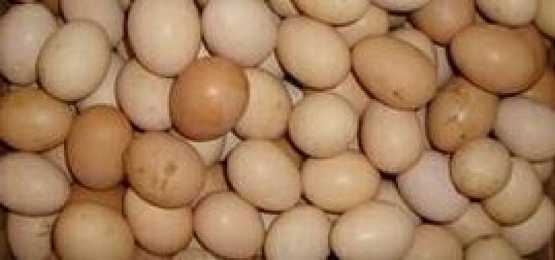鸡蛋食用50~60g