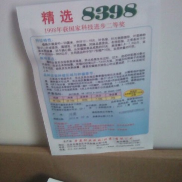 甘蓝种子质量很好，质量保证，常年供应，欢迎采购