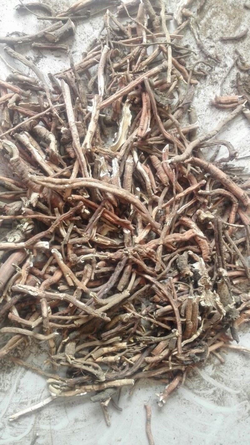 牡丹皮，商洛粉丹皮，选条，切片，药厂投料无硫粉丹皮
