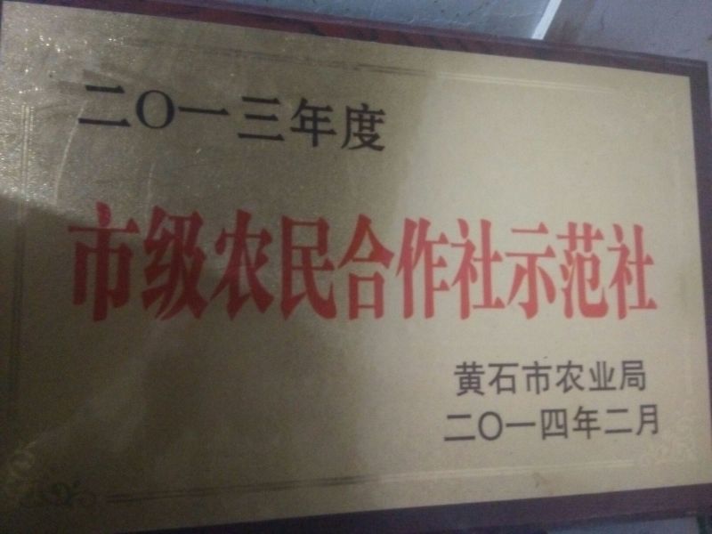 红薯粉面