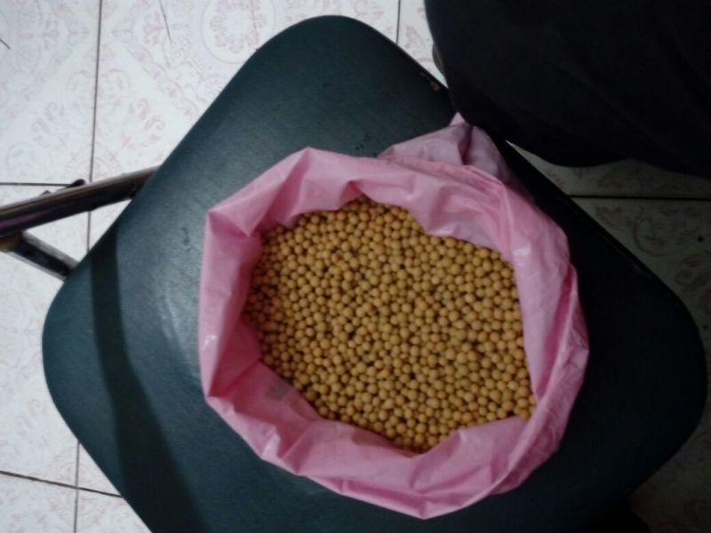 芽豆食用