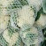 白花菜花1斤适中乳白