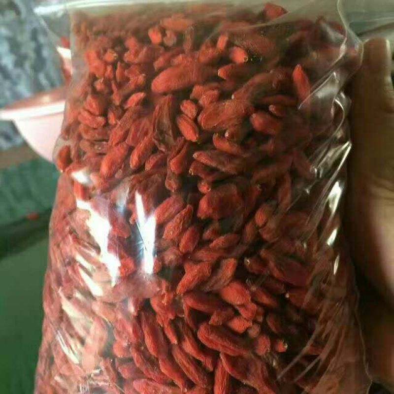 红枸杞头茬