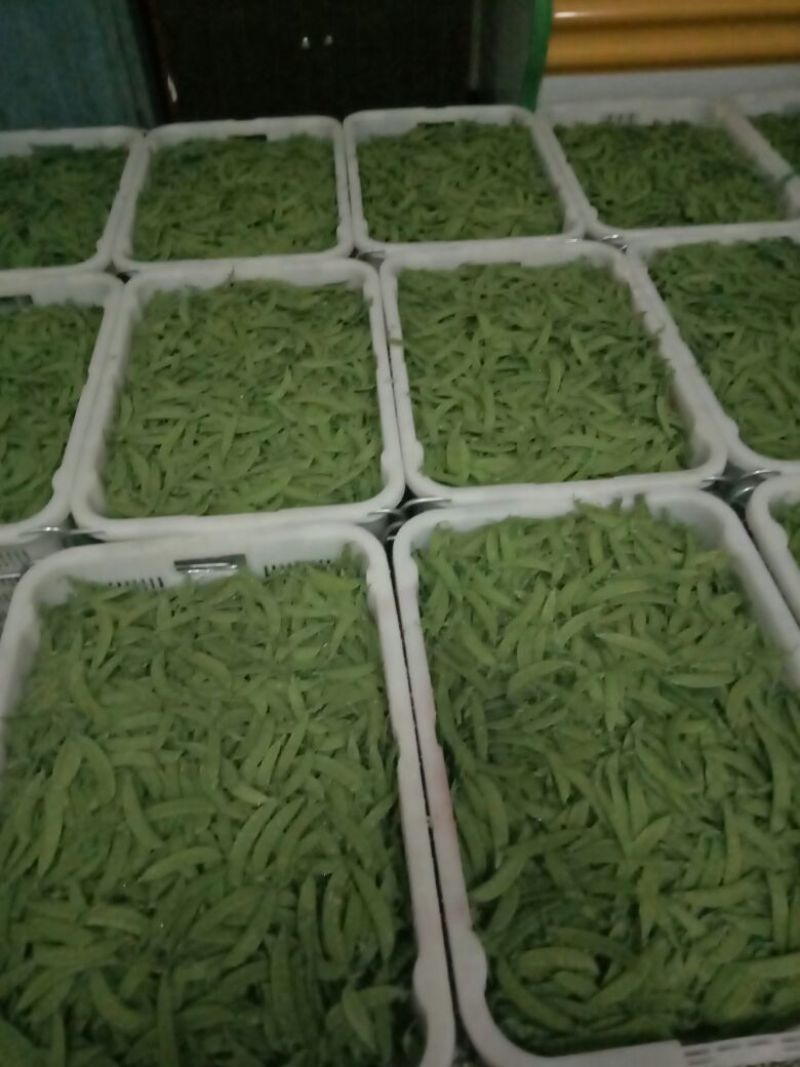 荷兰豆未饱满