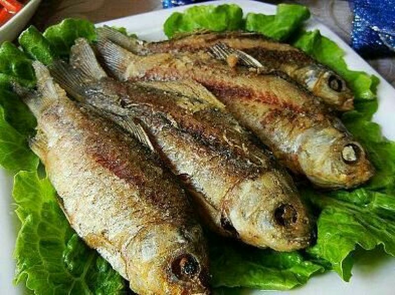 白鲫食用