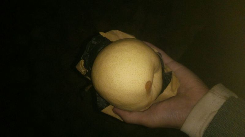 蜜梨150~200g纸袋