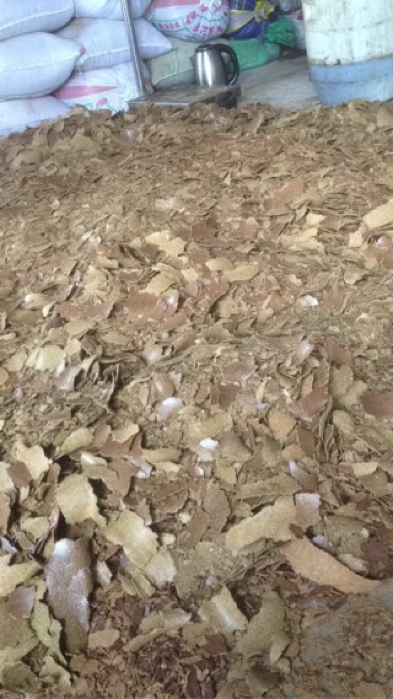 菜饼