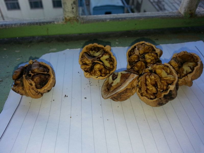 薄皮核桃30mm以上去皮
