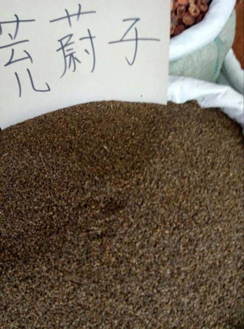 茺蔚子
