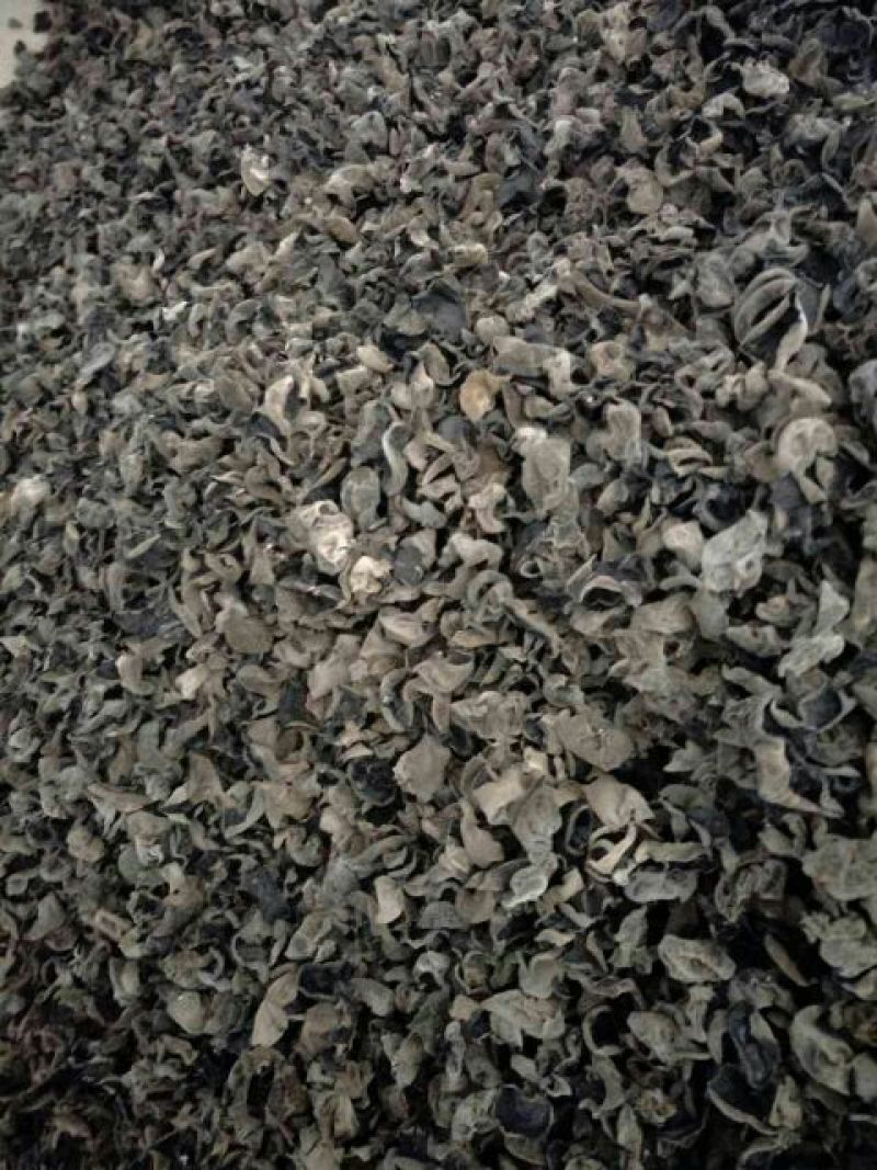 黑木耳一级