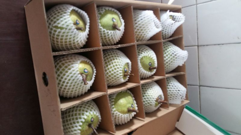 莱阳梨350~400g光果