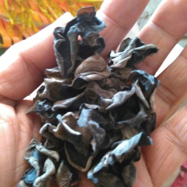 黑木耳一级