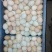 土鸡蛋食用50g以下