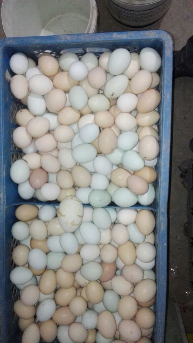 土鸡蛋食用50g以下
