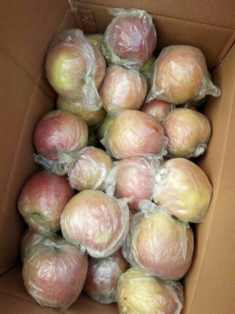 红富士苹果75mm以上膜袋