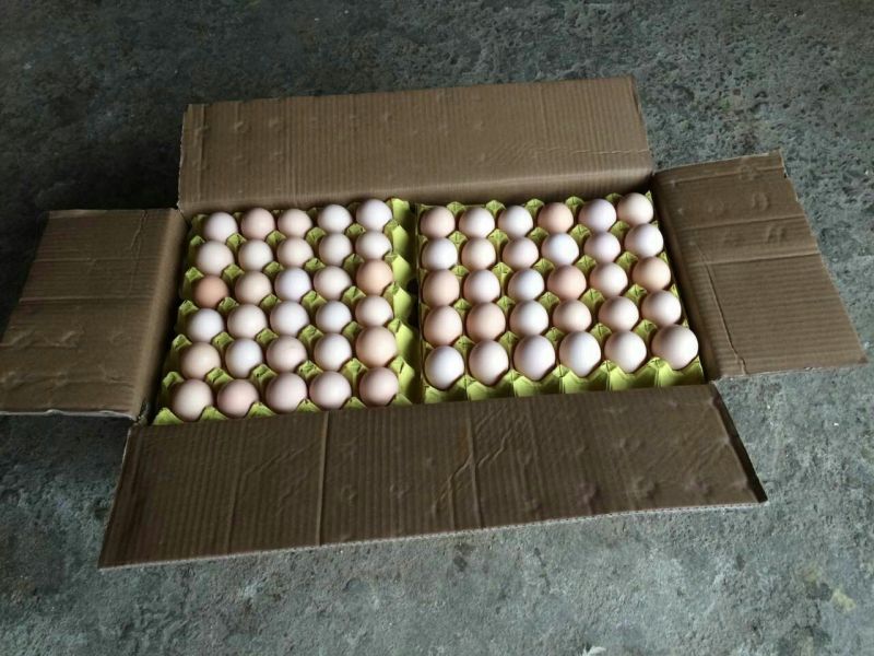 粉蛋食用50g以下