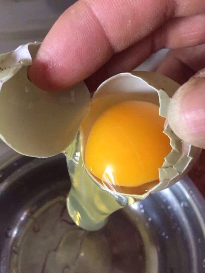 绿壳鸡蛋