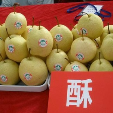 酥梨250~300g纸袋