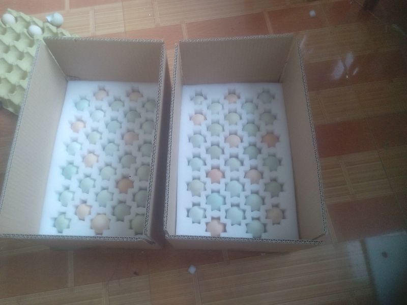 土鸡蛋食用40~50g