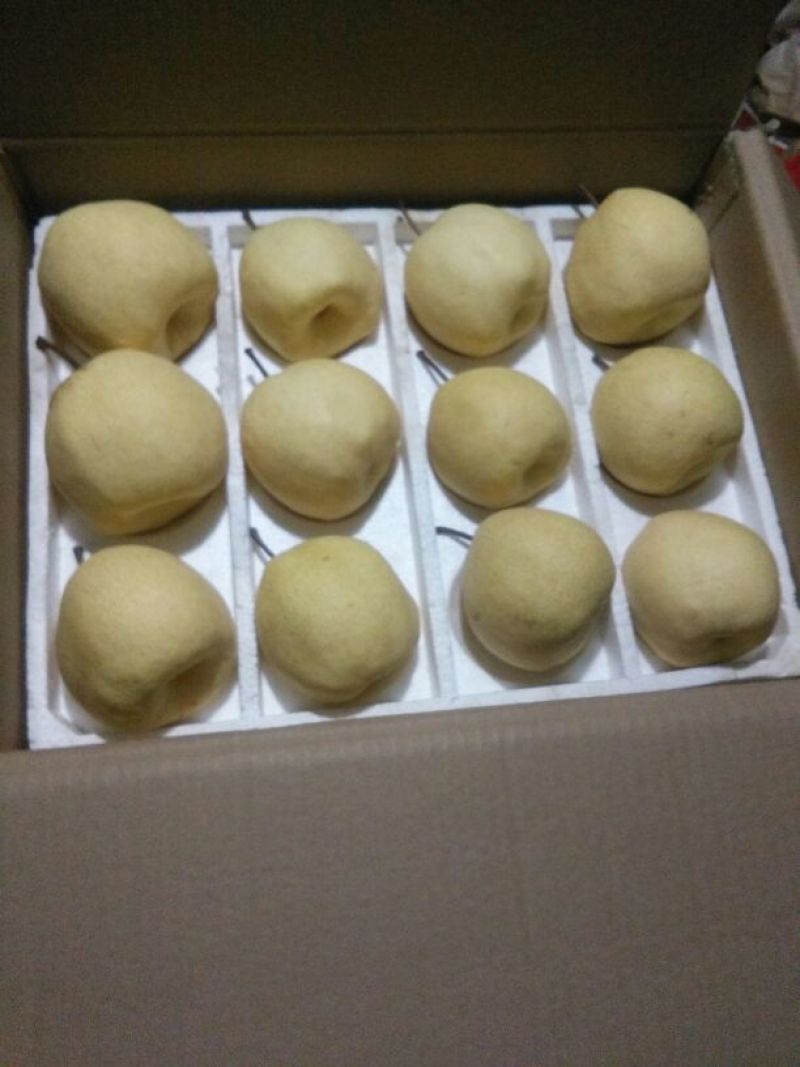 贡梨450~500g纸袋