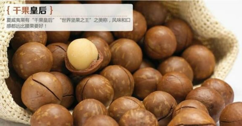 夏威夷果2020年带壳只批发不零售可发样品