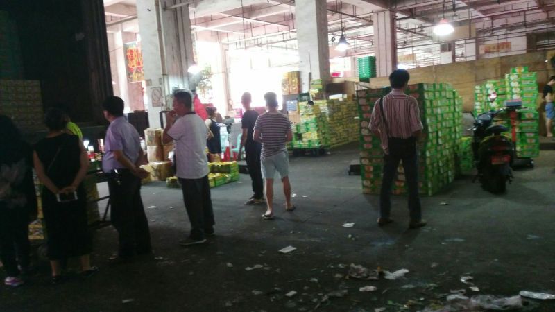 东方密1号哈密瓜2斤以上椭圆形