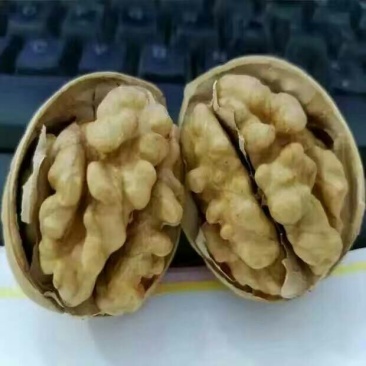 薄皮核桃去皮干