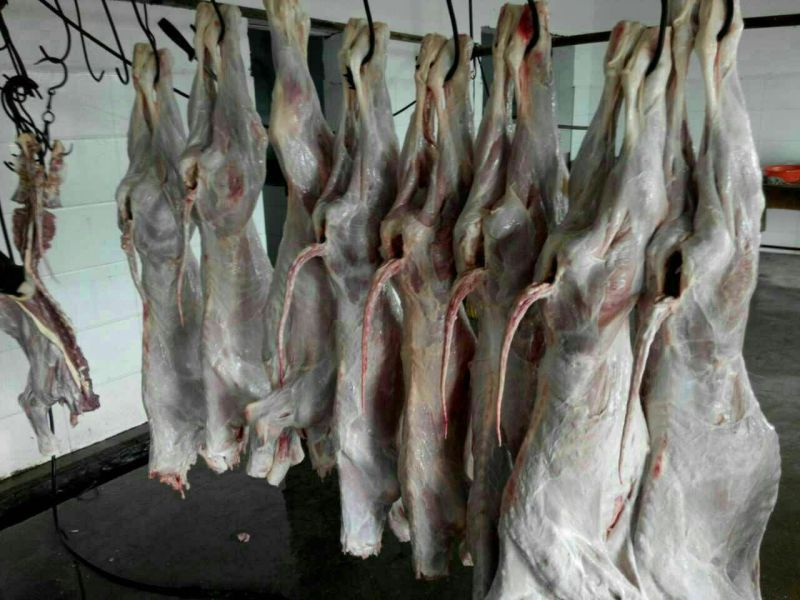 牛棒骨，脖骨，带骨后腿，带骨前腿，牛排，前腿肉，后腿肉