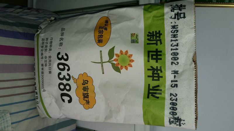 葵花种子