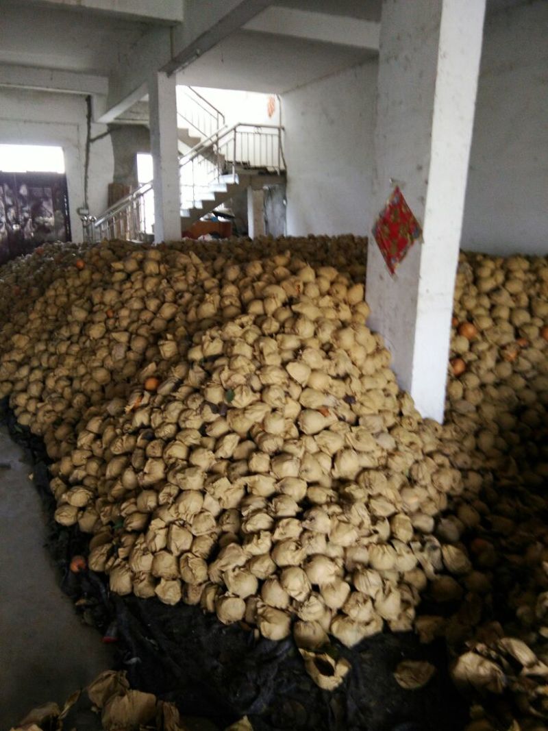 富硒梨600g以上纸加膜