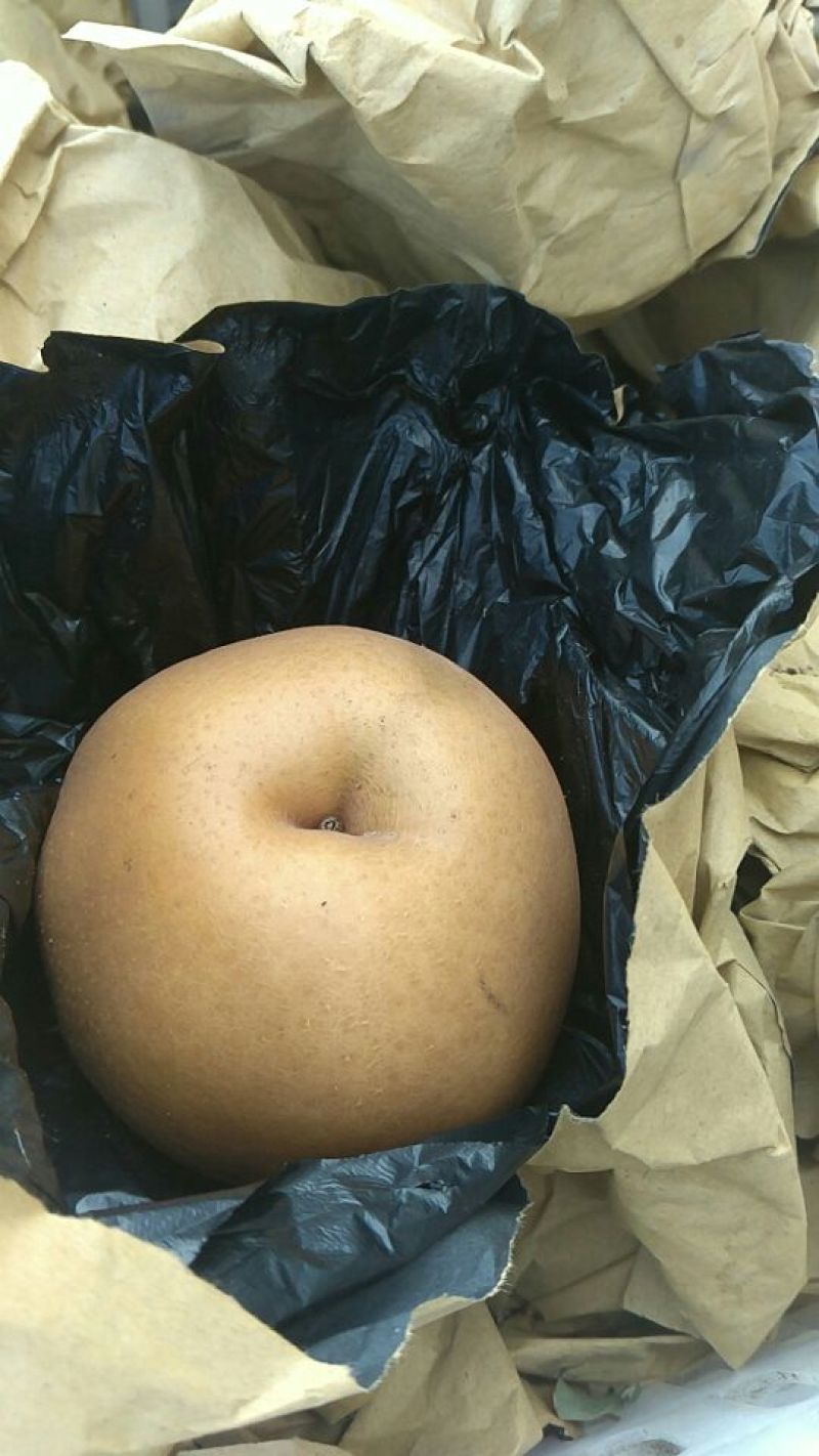 梨250~300g筐装