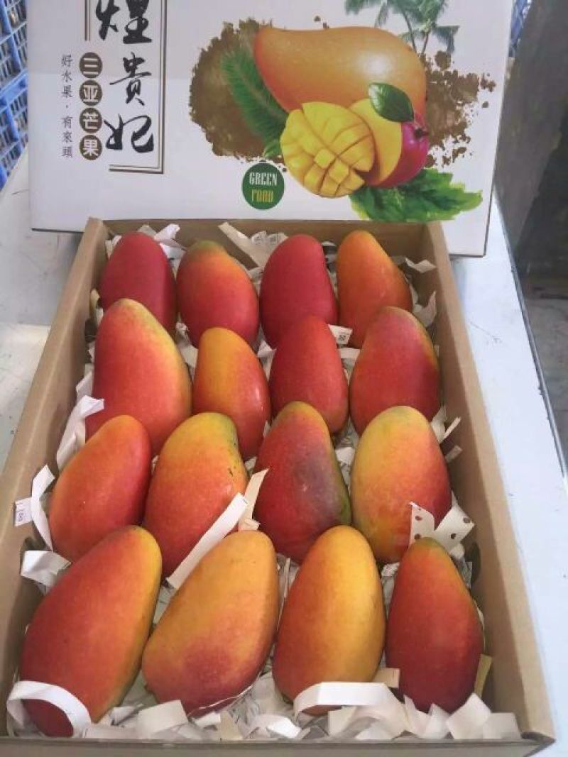 贵妃芒4两以上