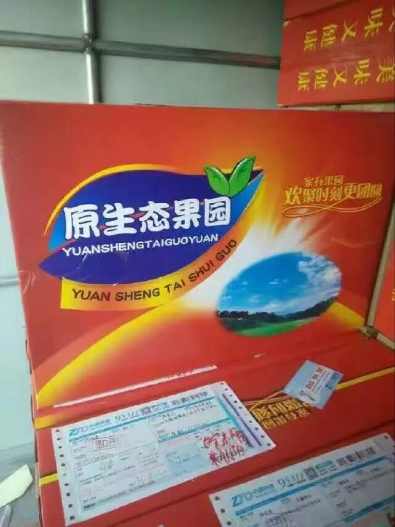 砀山梨