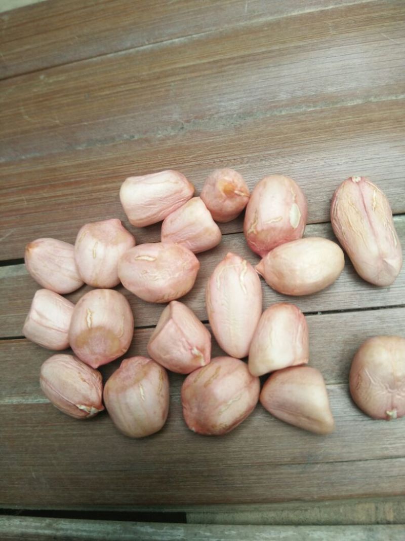 白沙系列干货带壳